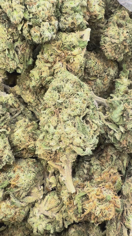 Razzberry Dream - Bulk - Indica