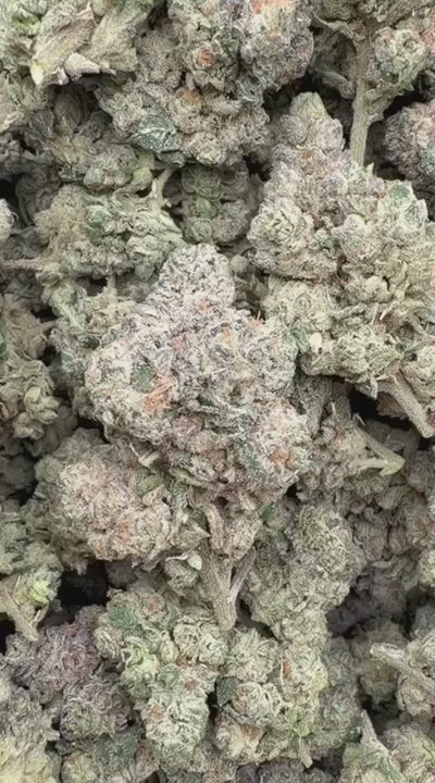 Runtz x Grease Monkey - Bulk - Indica
