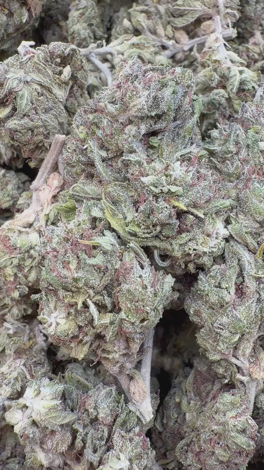 Space Runtz - Bulk - Hybrid