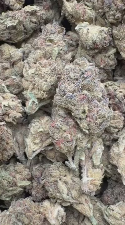Sherbet & Haze - Bulk - Sativa