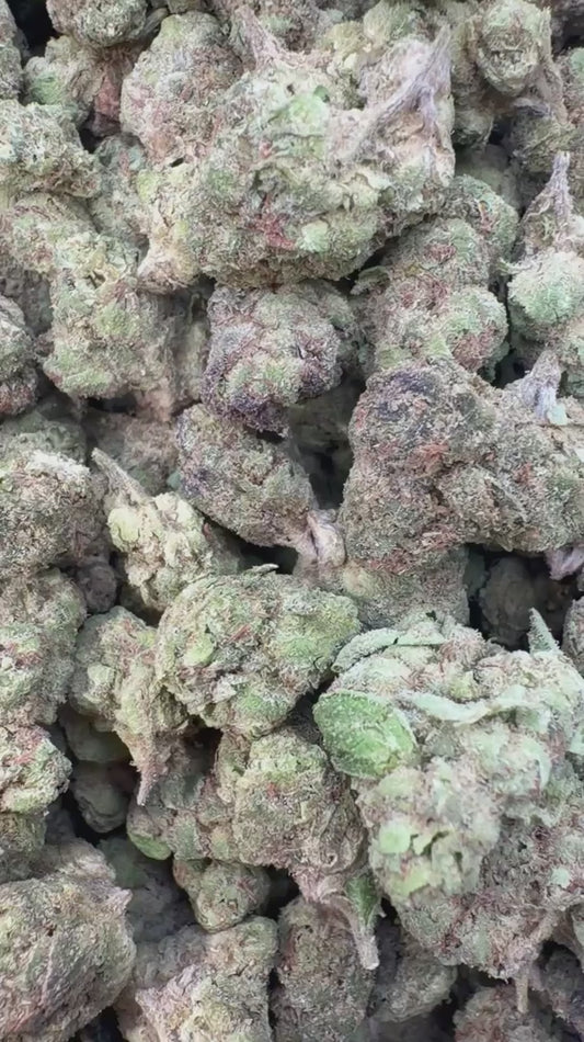 Rainbow Runtz Littles - Bulk Littles - Hybrid