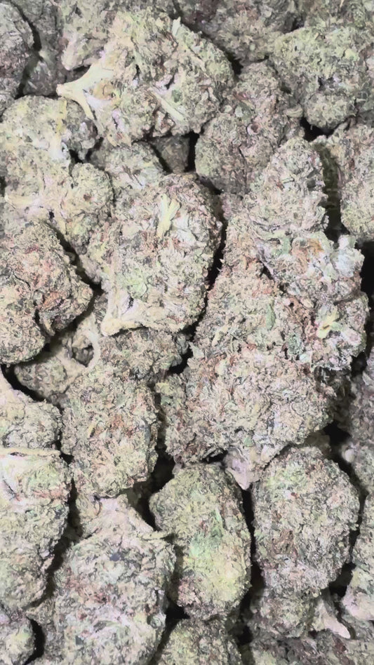 RS11 - Bulk - Hybrid