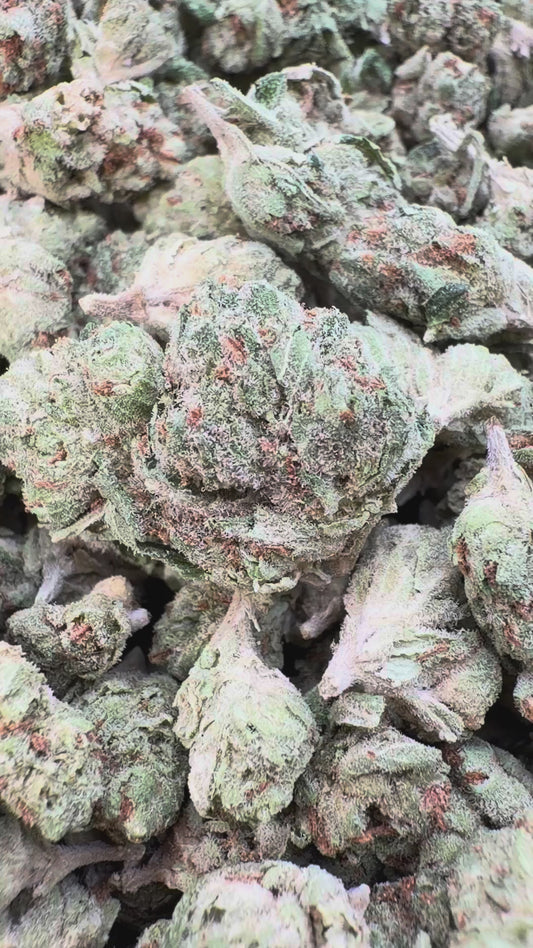 SFV OG Littles - Bulk Littles - Indica