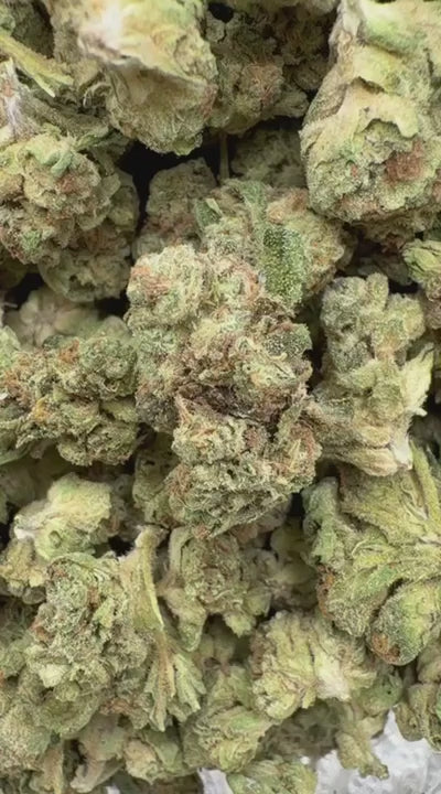 Slurty Littles - Bulk Littles - Indica