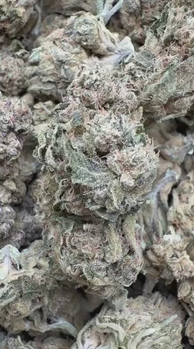 Sour Apple - Bulk - Hybrid